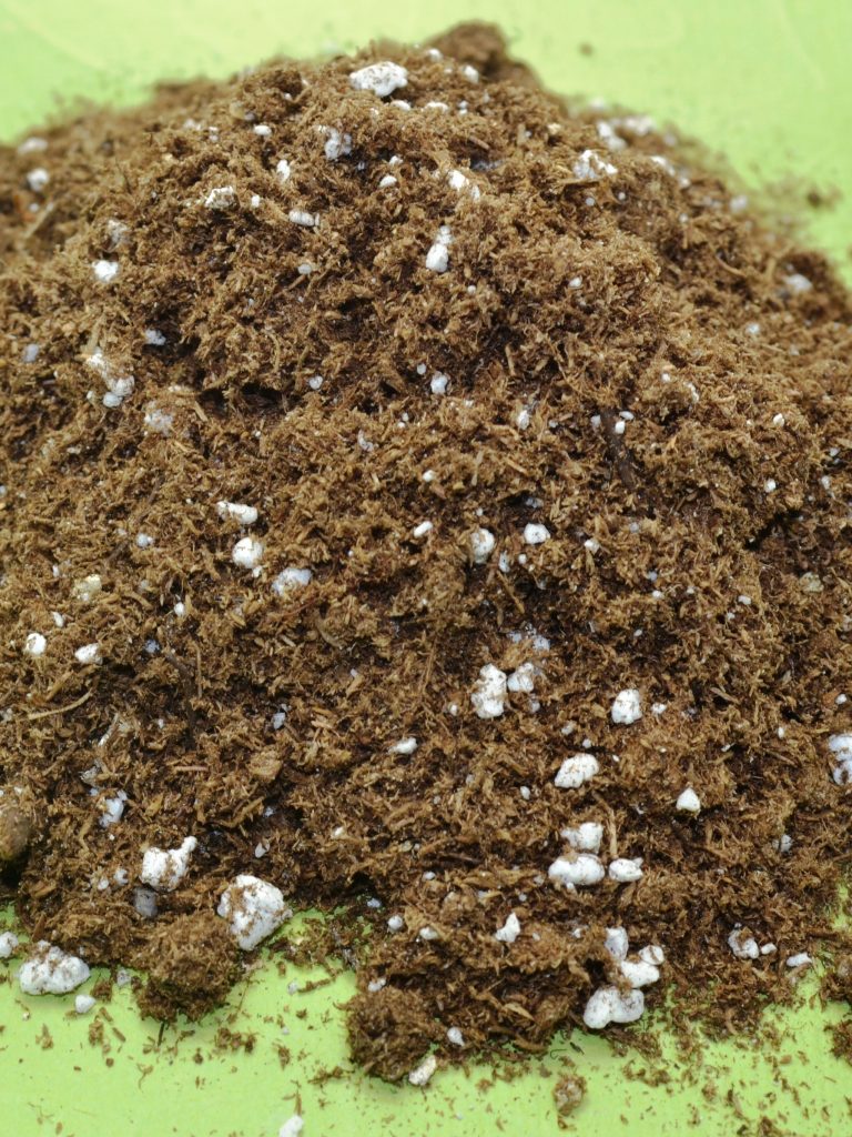 African Violet Soil / Potting Mix