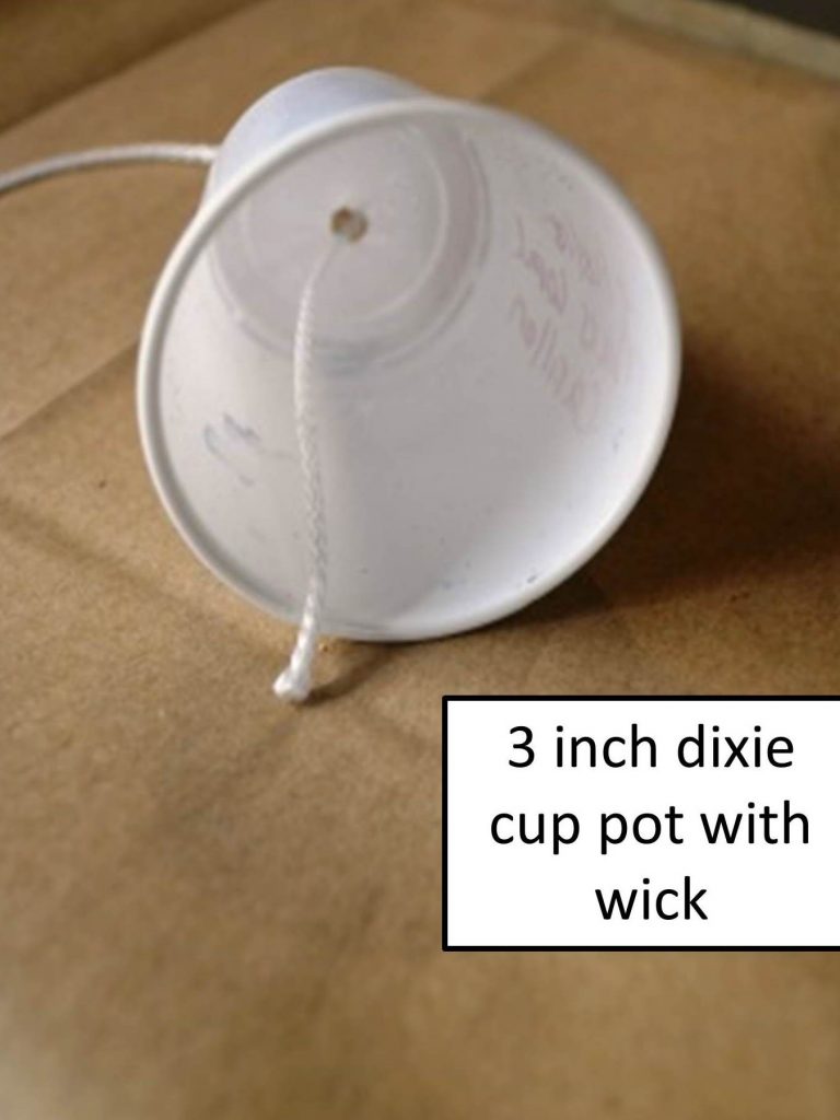 Wick Watering for African Violet Plants