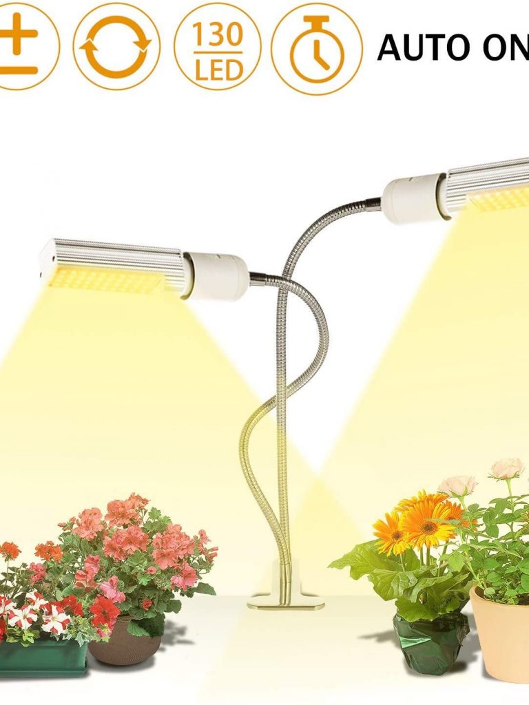 Lights & Stands