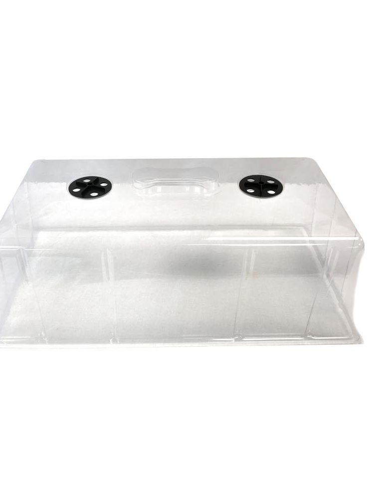 Trays & Domes