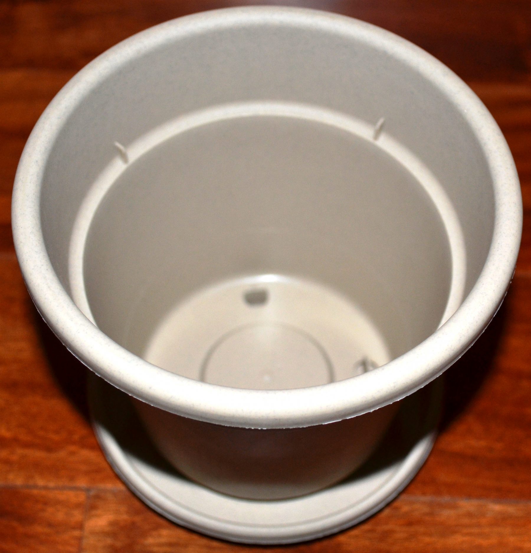 What Are The Best Type Of Pots For African Violets? Baby Violets