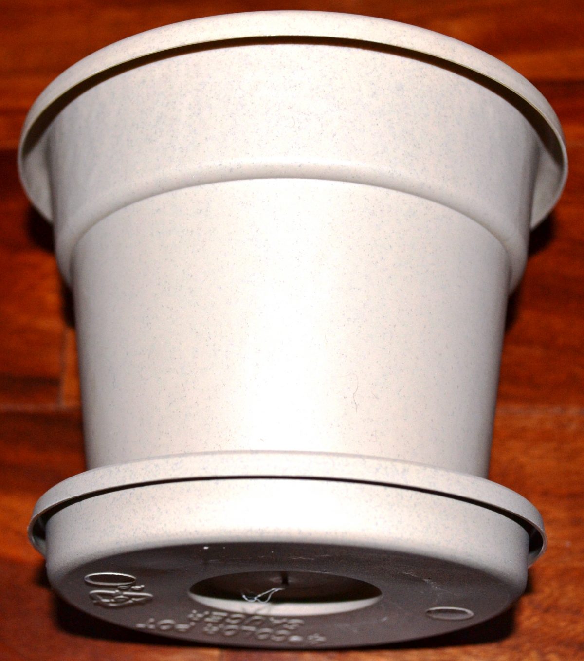 What Are The Best Type Of Pots For African Violets? Baby Violets