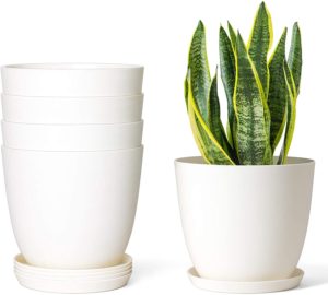 5” plastic pots with saucer