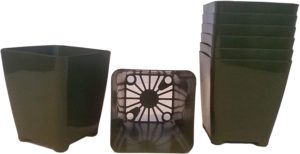 3" plastic square pots