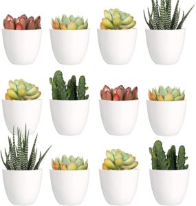 2” plastic pots, pack of 24
