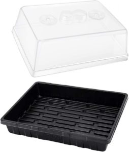 Medium tray with dome