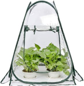Small pop up greenhous