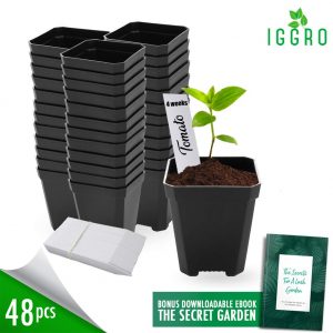 3" plastic square pots