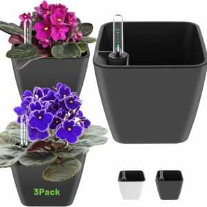 5" self watering pots