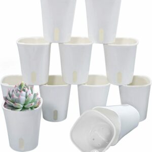 3" self watering pots