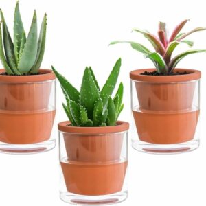 4" self watering glass pot