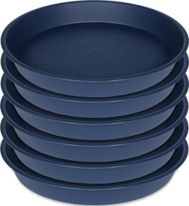 6” saucer 6 pack