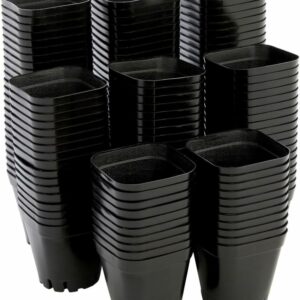 2" square pots, 150pk